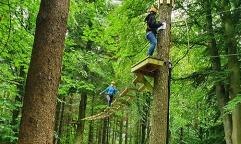 Tree Top Trials | Outdoor Activities | Craufurdland Country Estate