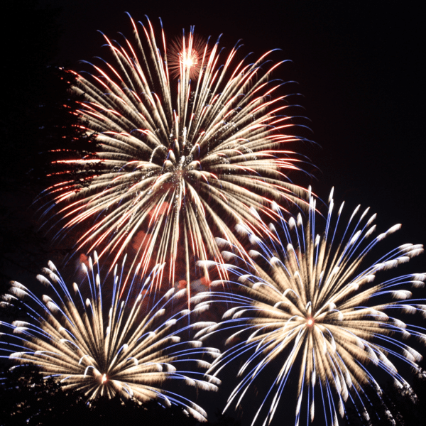 Private Fireworks with Dinner - Friday 7th November 2025 @ 7pm