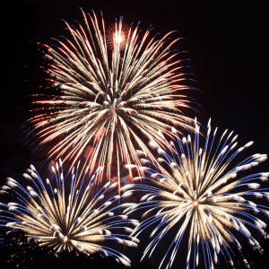 Private Fireworks with Dinner - Friday 7th November 2025 @ 7pm