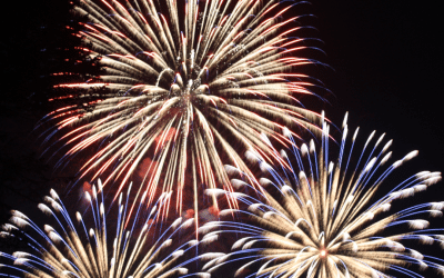 Private Fireworks with Dinner - Friday 7th November 2025 @ 7pm