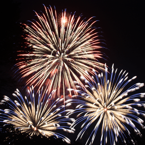 Private Fireworks with Dinner - Friday 7th November 2025 @ 7pm