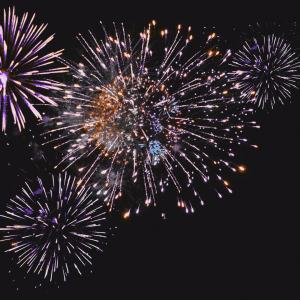 Private Fireworks With Dinner - Saturday 8th November 2025@ 8pm Over 16s