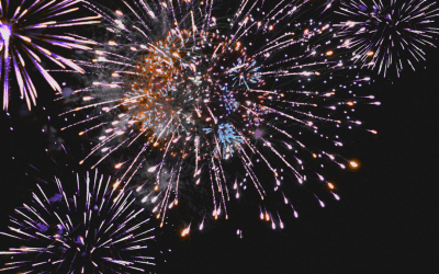 Private Fireworks With Dinner - Saturday 8th November 2025@ 8pm Over 16s