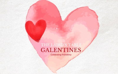 Celebrating Friendship - Galentines Dinner
