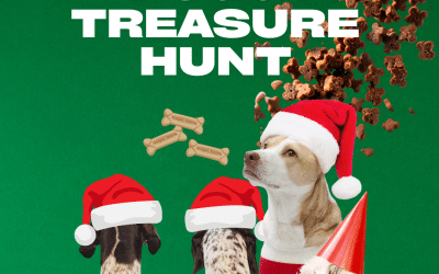 DOGGY TREASURE HUNT